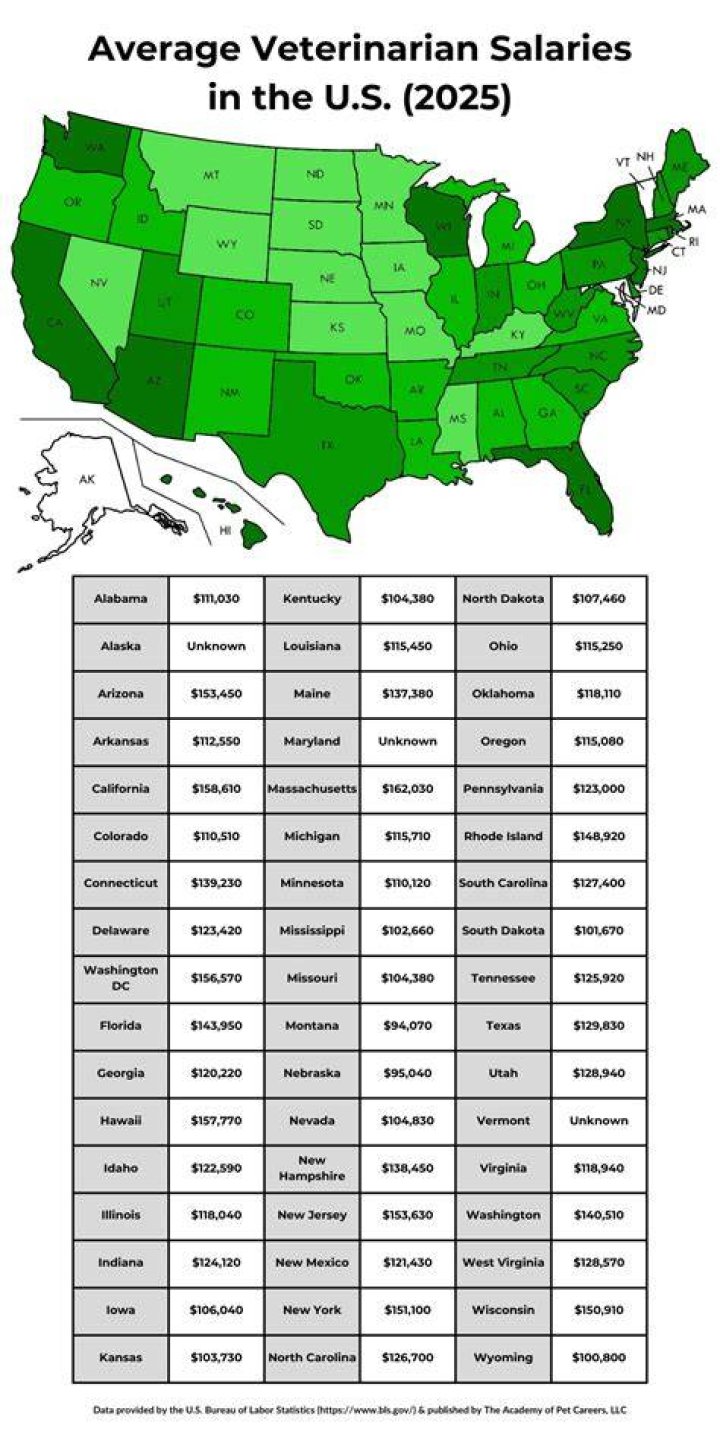 How much does an equine vet make a week?
