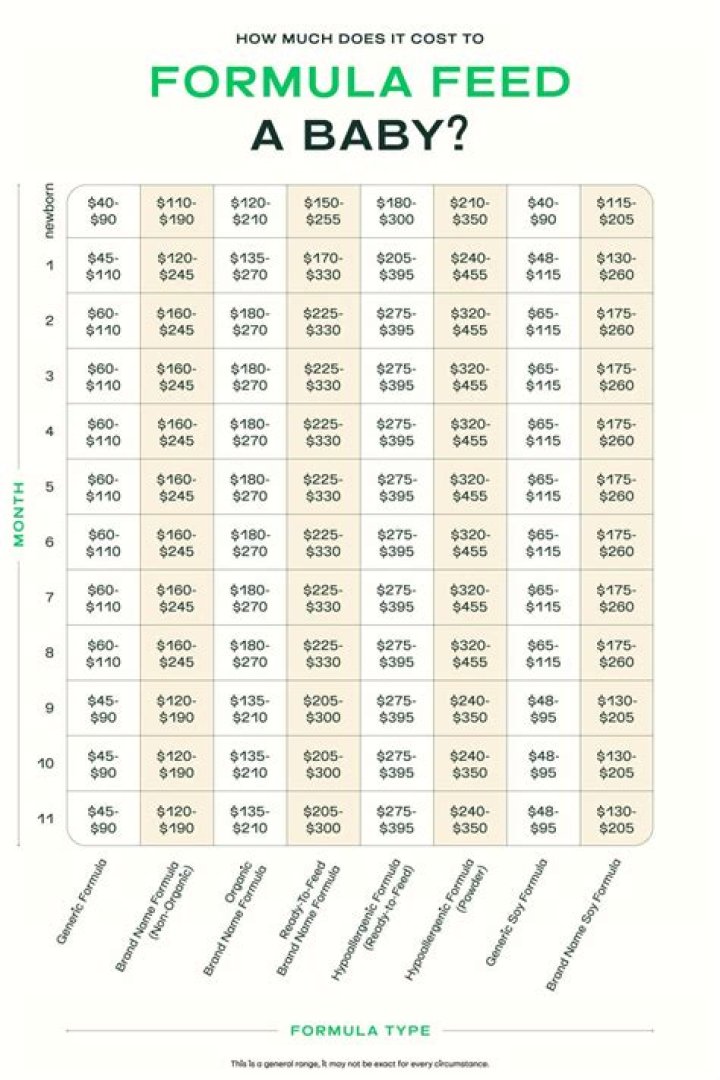 How much does baby food cost a month?