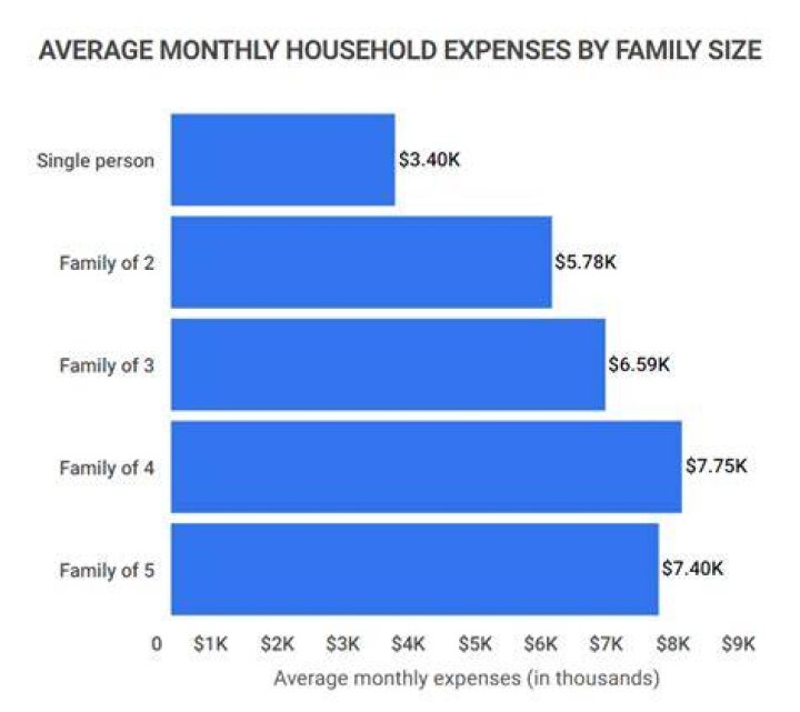 How much does the average person spend on household items per month?