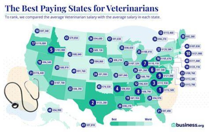 How much money does a vet get every hour?