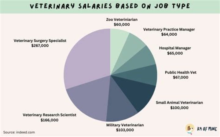 How much money does a vet make in 2020?