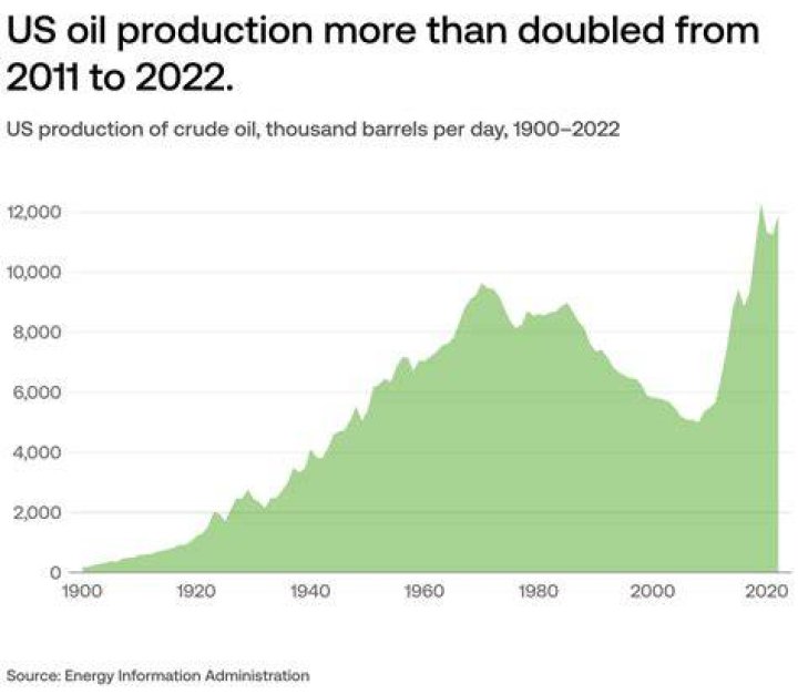 How much oil does the average American use in a year?