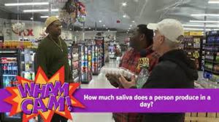 How much saliva does a person make?