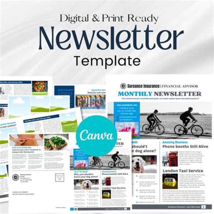 Is a newsletter a print source?