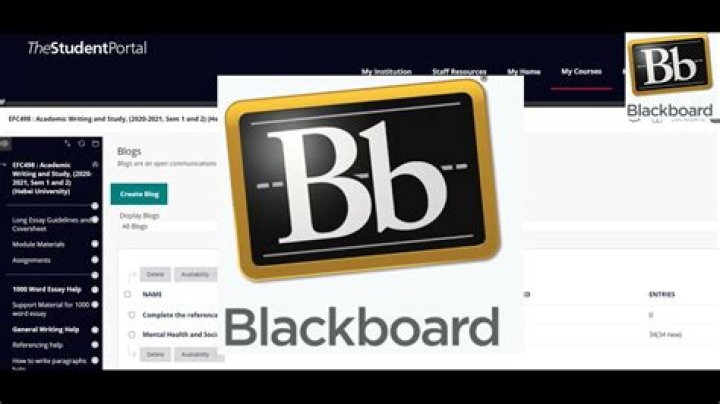 Is Blackboard an example of gaming software?