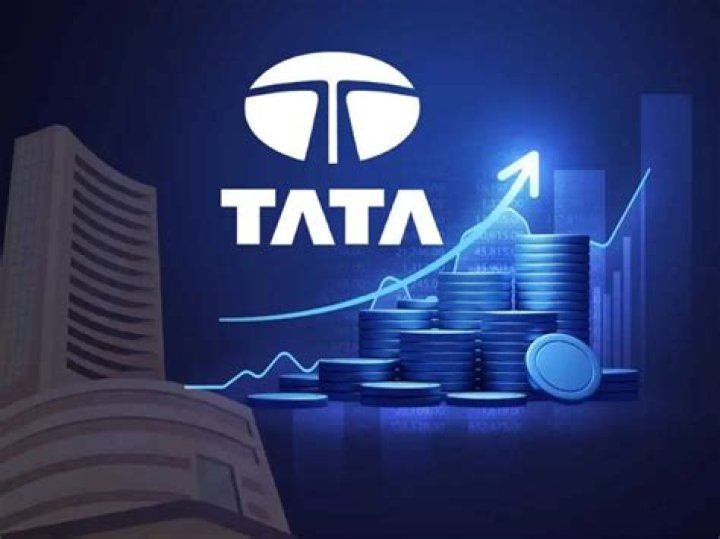 Is Tata a semi government?