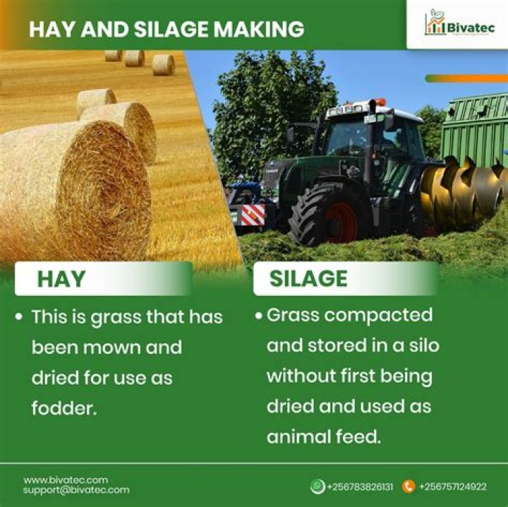 Is there money in making hay?