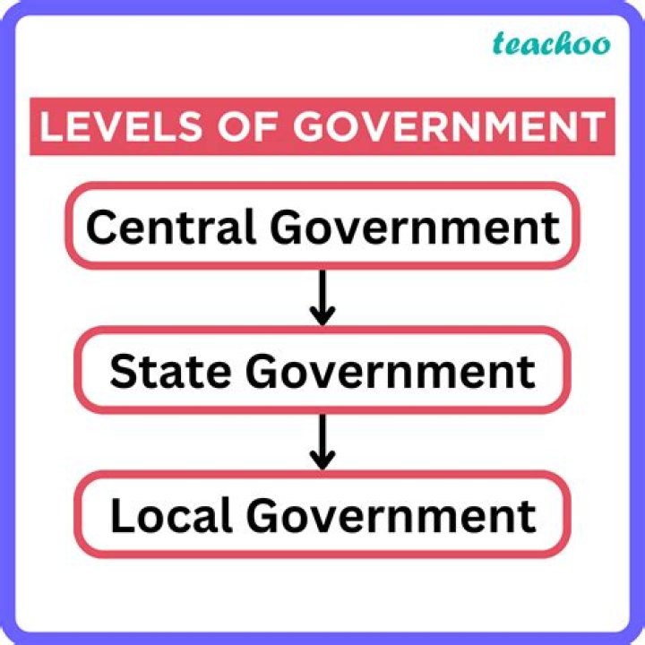 What are 4 types of local government?
