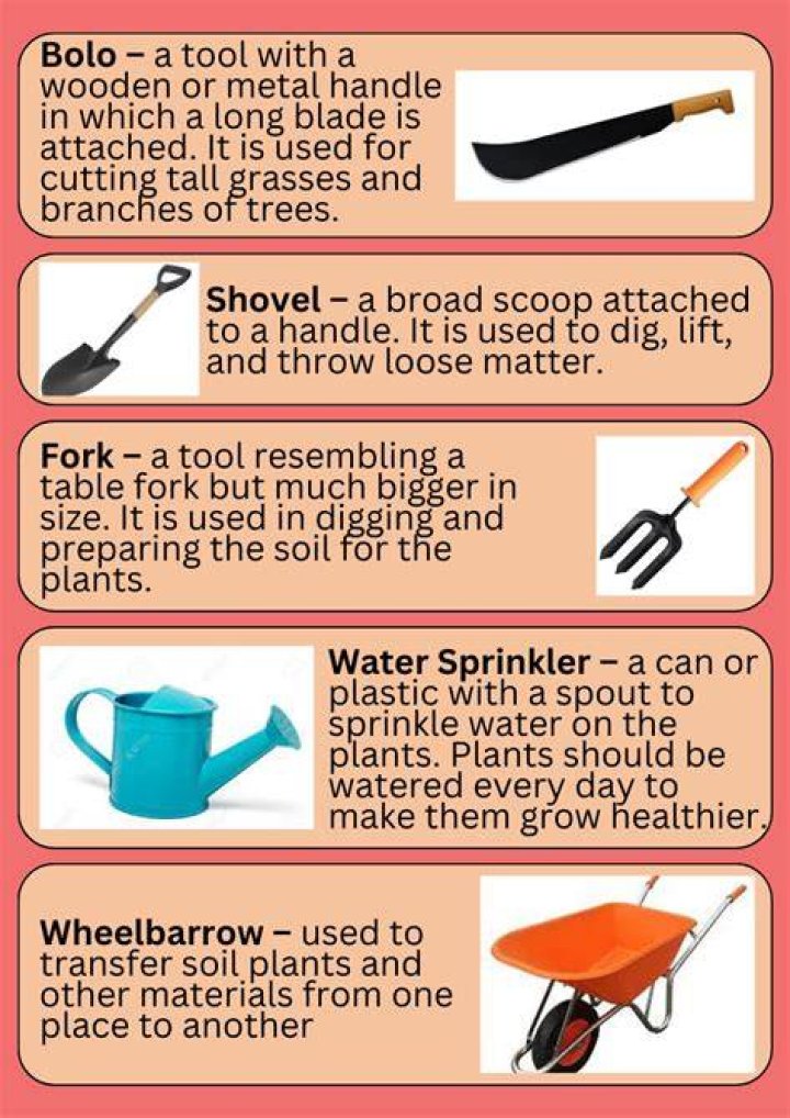 What are different types of Gardening?