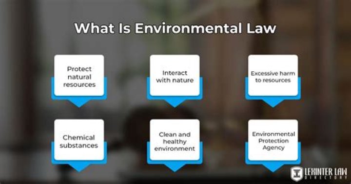 What are examples of environmental regulations?