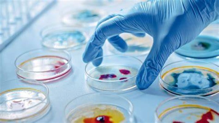 What are microbiological media?