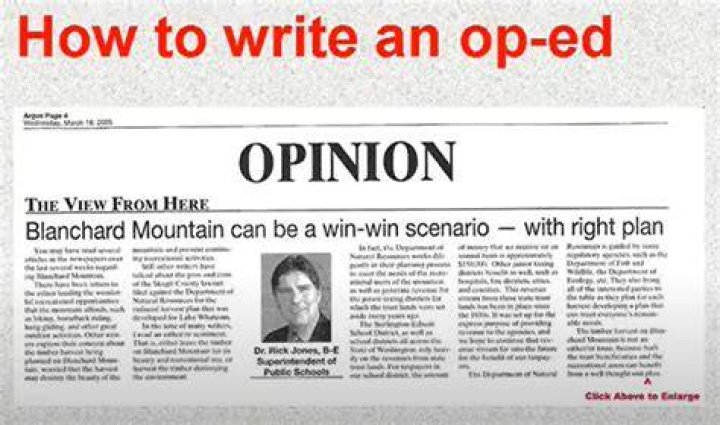 What are opinion pieces in newspapers called?