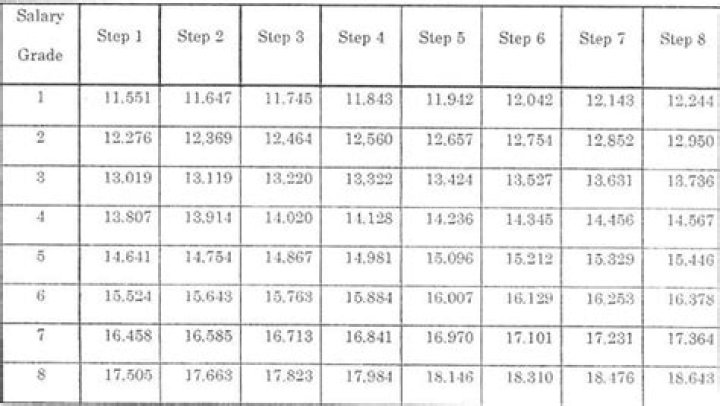 What are salary grade levels?