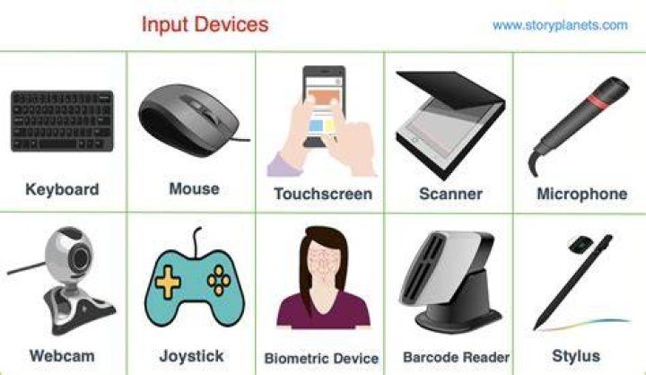 What are some examples of inputs?
