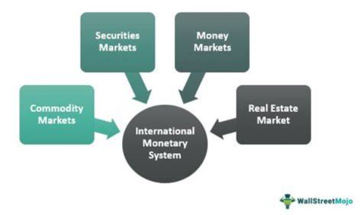 What are some examples of international monetary system?
