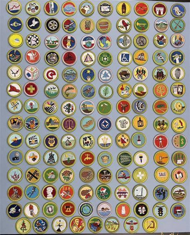 What are the 135 merit badges?