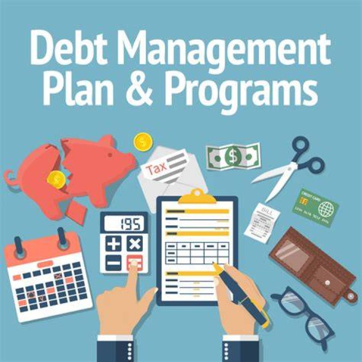 What are the action plans for debt management?
