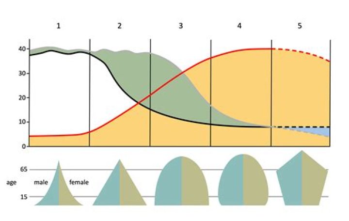 What are the demographic environmental factors?