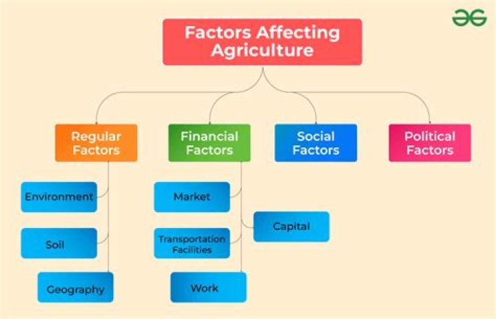 What are the factors influencing land use?