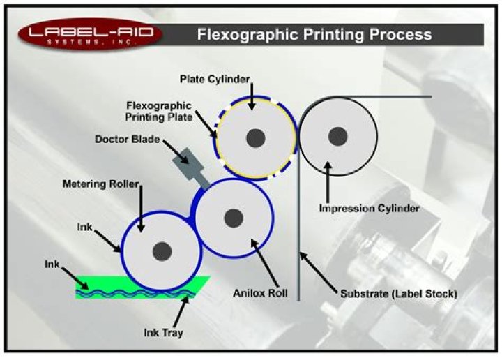 What are the four printing processes?