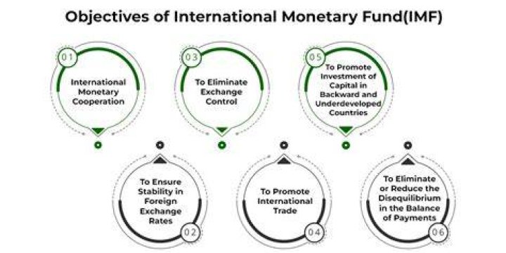 What are the issues in the international monetary?