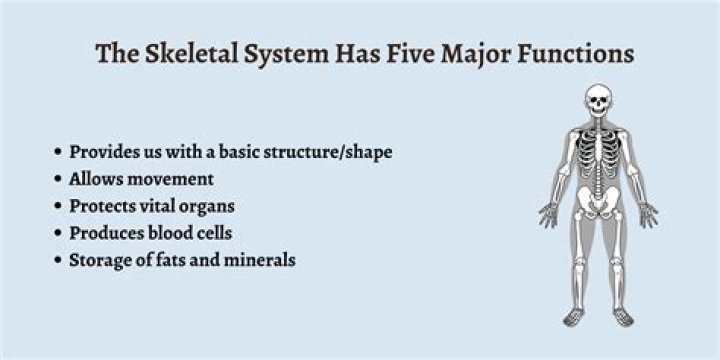 What are the main functions of retailers?