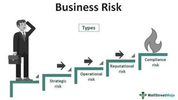 What are the possible risks of entrepreneurs?