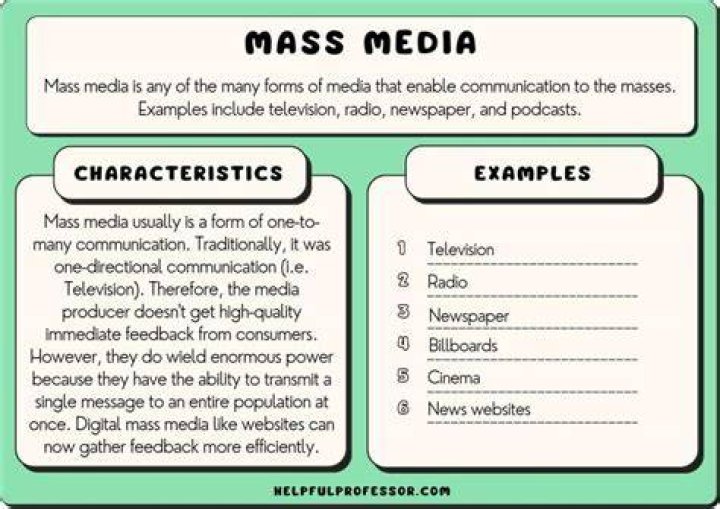 What are the roles of mass media in?