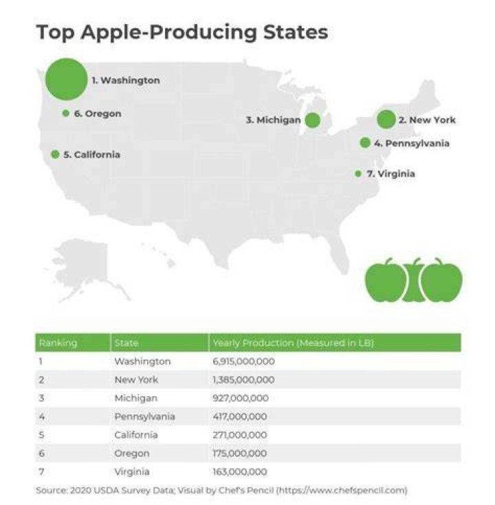 What are the top 3 apple producing states?