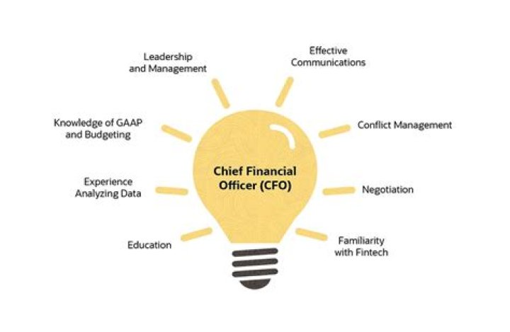 What are the two distinct groups that report to the chief financial officer which group is the focus of corporate finance?