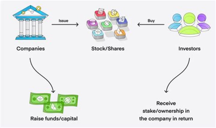 What do investors put their money into?
