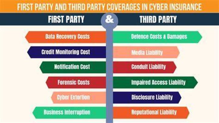 What does First Party mean?
