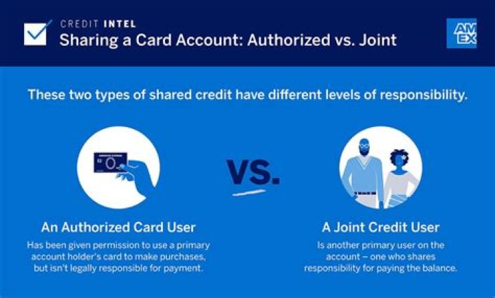 What does it mean when a payment is authorized?