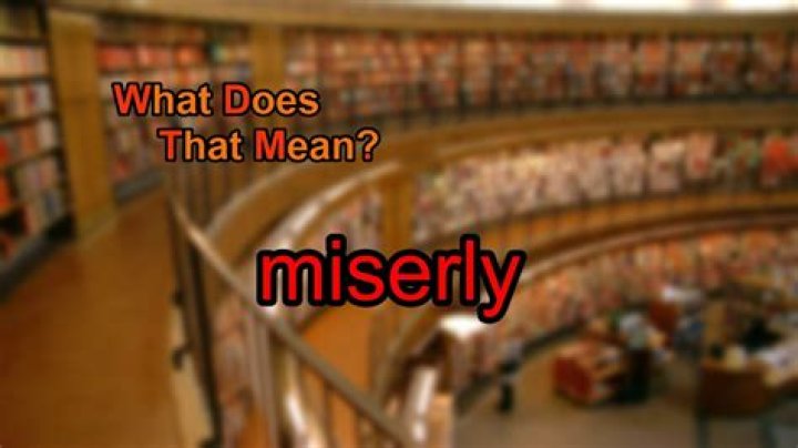 What does miserly mean?
