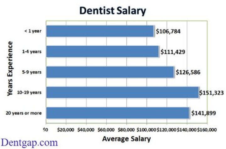 What does the average Dentist make a month?