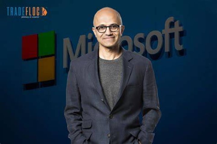 What does the CEO of Microsoft make per year?