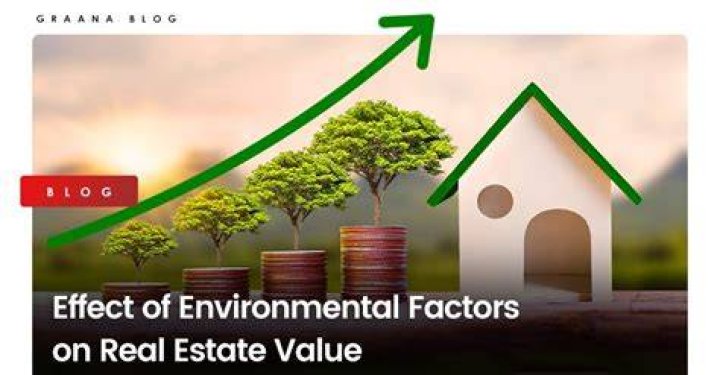 What environmental factors affect real estate?