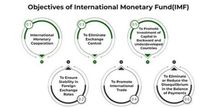 What important role does International Monetary Fund play in the world economy?