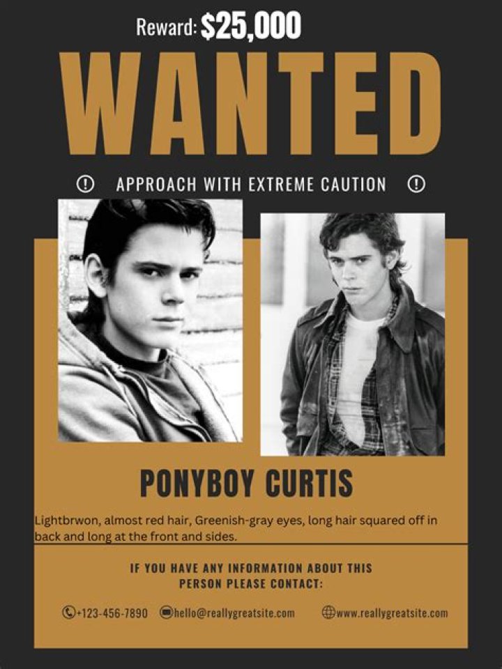 What information did Ponyboy learn from the newspaper in the outsiders?