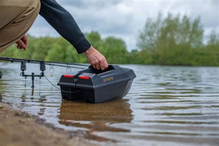 What is a bait camp?
