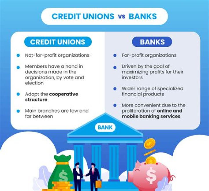 What is a credit union and how does it work?
