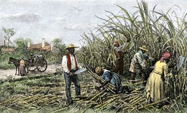 What is a large farm or plantation?