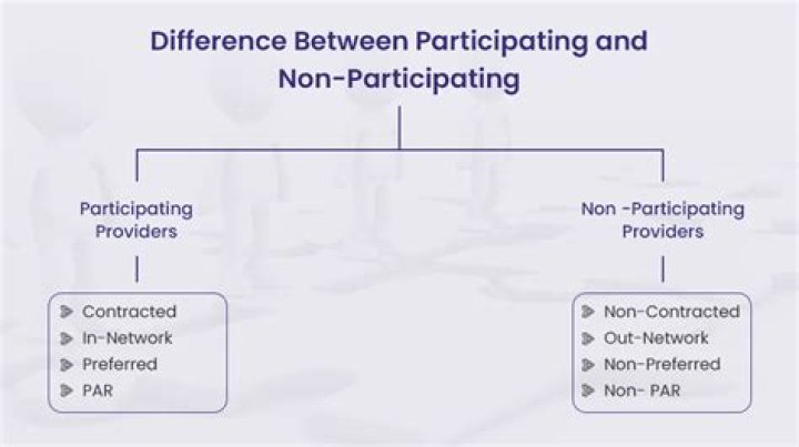 What is a non-participating provider?