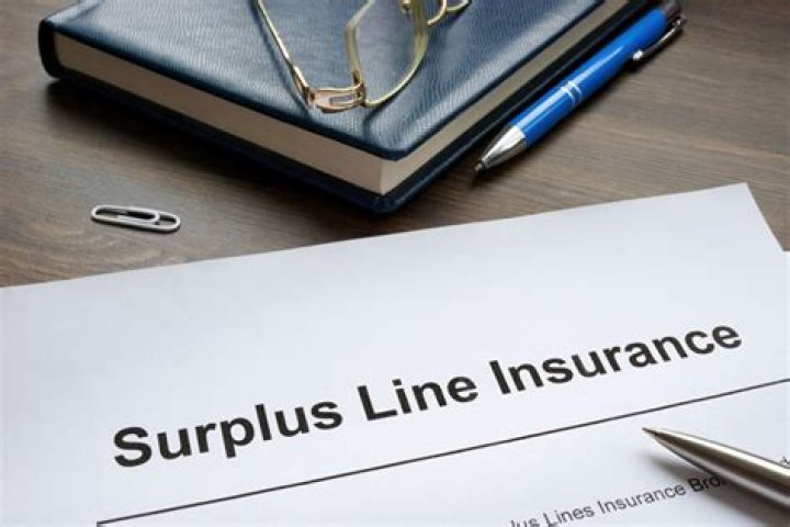 What is a surplus disbursement from a mortgage company?