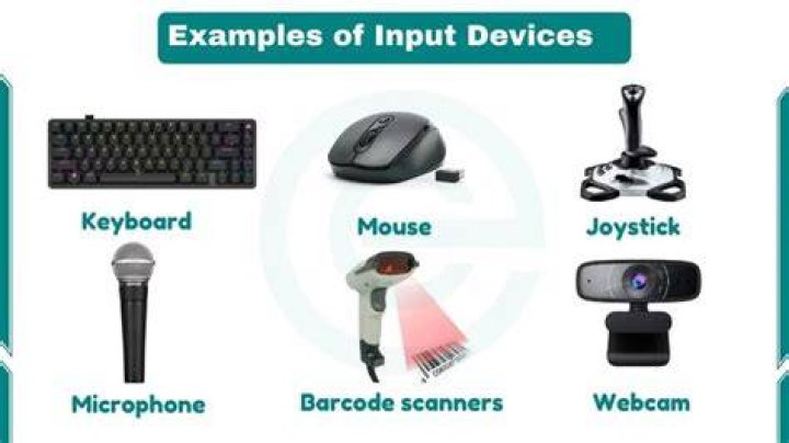 What is an example of an input in a system?