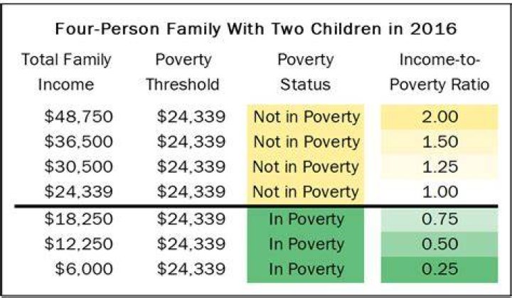 What is considered low income by the government?