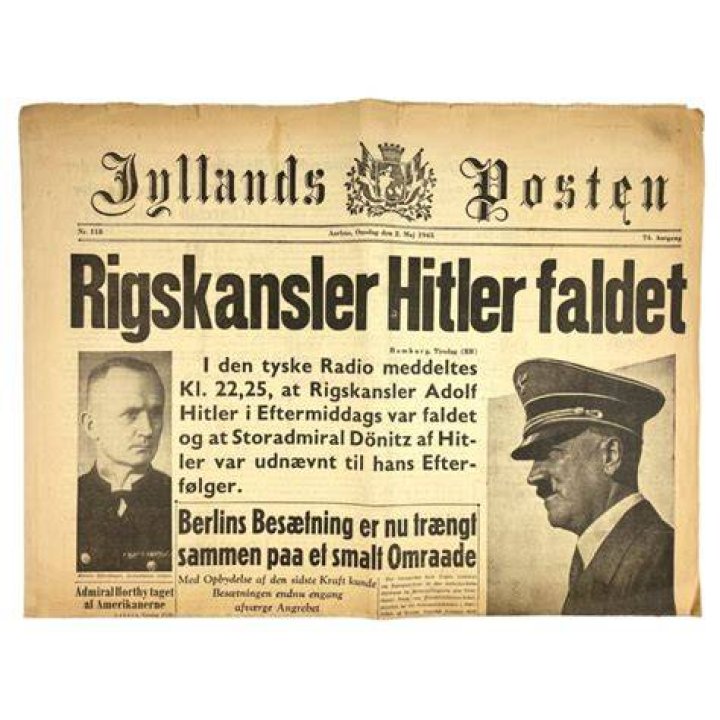 What is danish newspaper?