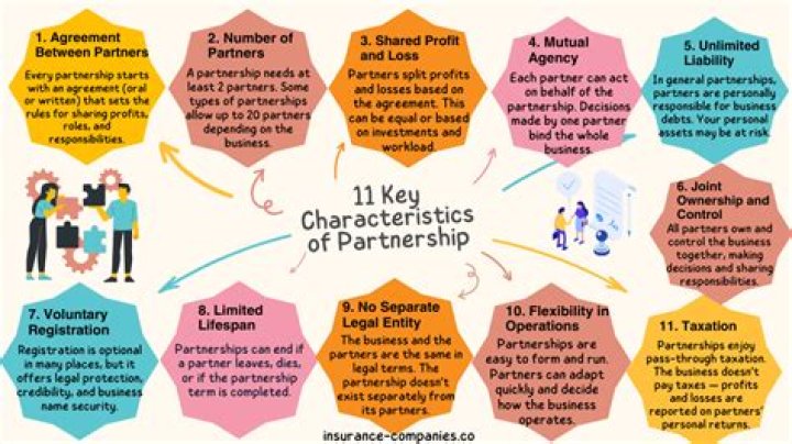 What is partnership nature and characteristics?