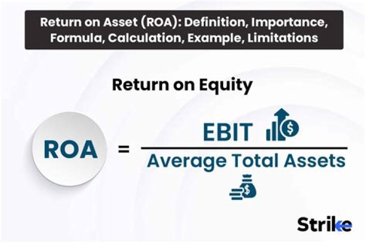 What is return on asset with example?