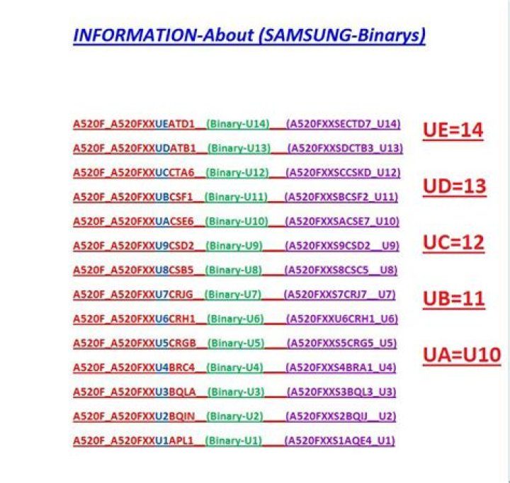 What is Samsung binary number?